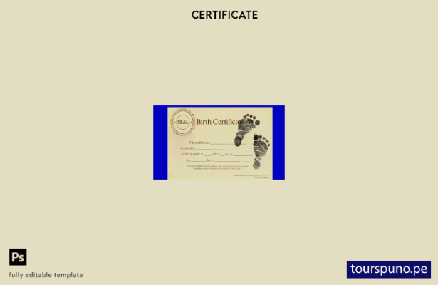 Plantilla de certificado de nacimiento del hospital Mercy de Estados Unidos list